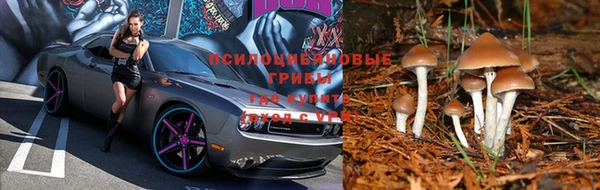 a pvp Инта