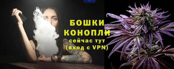 a pvp Инта